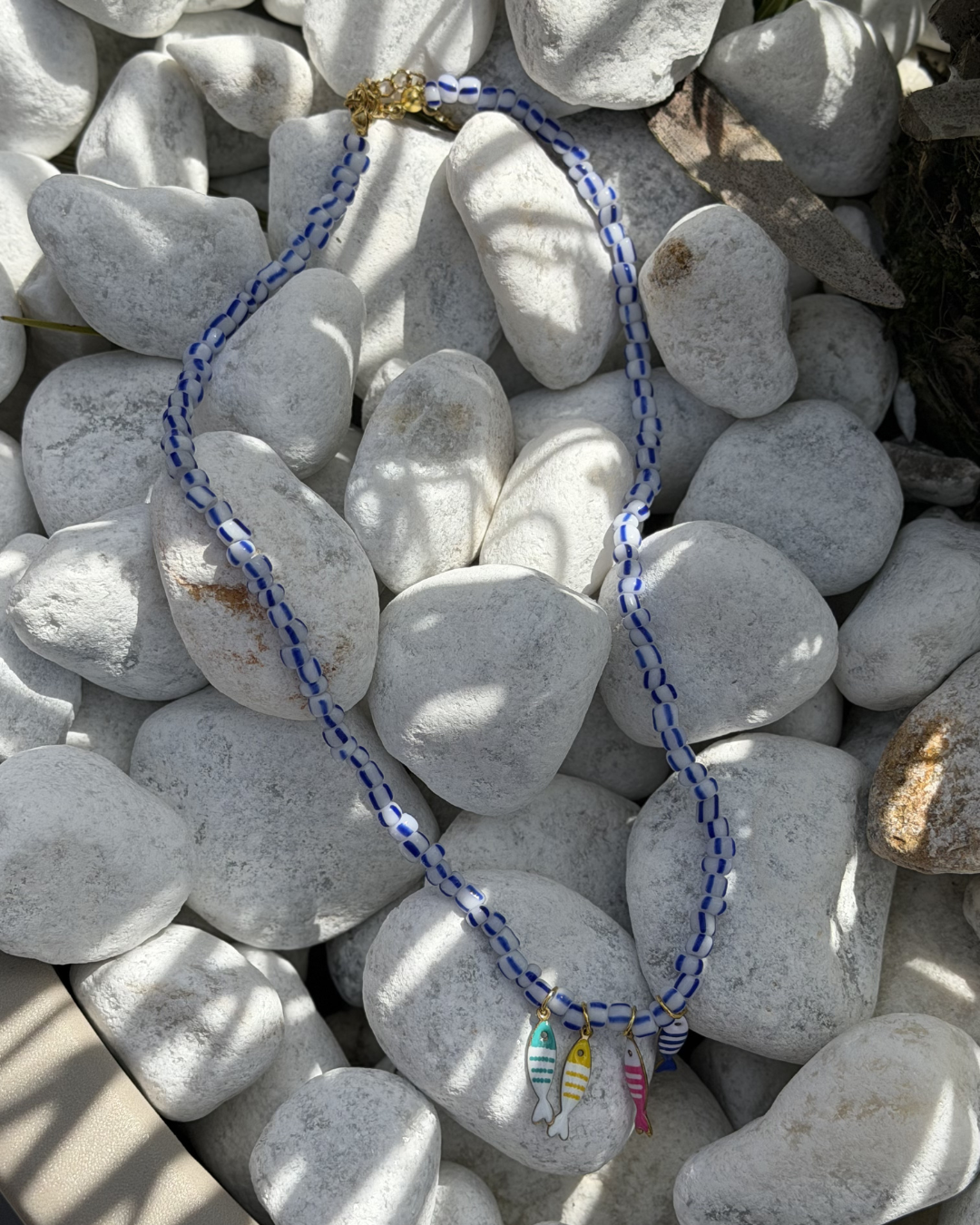 Poisson - Collier